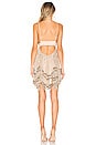 view 3 of 4 Amber Mini Dress in Nude & Gold