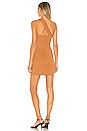 view 3 of 3 CHEYENNE 미니 원피스 in Chestnut