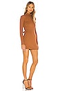 view 3 of 3 Jackson Dress in Terracotta