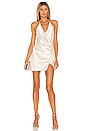 view 2 of 4 Thomas Mini Dress in Champagne