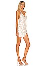 view 3 of 4 Thomas Mini Dress in Champagne