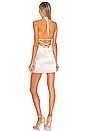 view 4 of 4 Thomas Mini Dress in Champagne