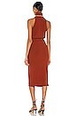 view 3 of 4 Maggie Dress in Clay Red