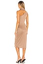 view 3 of 3 Kristiana Midi Dress in Chestnut