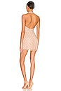 view 3 of 4 Jerry Embellished Mini Dress in Nude