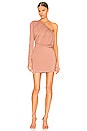 view 1 of 3 Jolene Mini Dress in Nude Brown