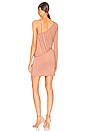 view 3 of 3 Jolene Mini Dress in Nude Brown