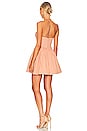 view 3 of 3 Constanza Mini Dress in Copper