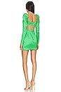 view 3 of 3 Talulla Dress in Kelly Green
