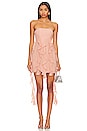 view 1 of 3 Denali Mini Dress in Blush Pink