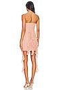 view 3 of 3 Denali Mini Dress in Blush Pink