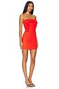 view 2 of 3 Riya Mini Dress in Red Orange