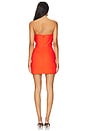 view 3 of 3 Riya Mini Dress in Red Orange