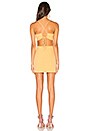 view 4 of 4 Aria Mini Dress in Sunshine