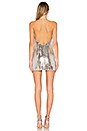view 3 of 4 Envy Dress in Silver & Nude