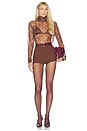 view 5 of 6 DAPHNE 쇼츠 in Dark Brown