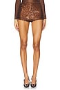 view 1 of 6 Janya Hot Shorts in Chocolate Brown