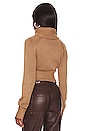 view 3 of 4 Winston Cropped Turtleneck Sweater in Tan