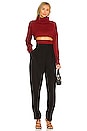view 4 of 4 Winston Cropped Turtleneck Sweater in Deep Red