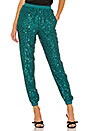 view 1 of 5 Ryder Pants in Emerald