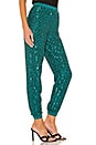 view 2 of 5 Ryder Pants in Emerald