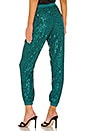 view 3 of 5 Ryder Pants in Emerald