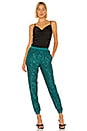 view 4 of 5 Ryder Pants in Emerald