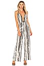 view 1 of 4 Serena Jumpsuit in Stripe