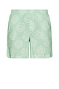view 1 of 6 Prainha Shorts in Mint