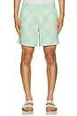view 5 of 6 Prainha Shorts in Mint