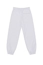 view 2 of 4 Core Pants in Grey
