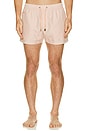 view 5 of 6 San Felipe Swim Trunks in Pink