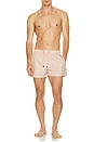 view 6 of 6 San Felipe Swim Trunks in Pink