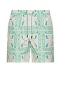 view 1 of 5 El Pino Tres Swim Trunks in Mint