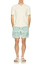 view 5 of 5 El Pino Tres Swim Trunks in Mint