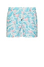 view 1 of 6 Flamingo Swim Trunks in Blue