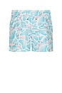 view 2 of 6 Flamingo Swim Trunks in Blue