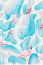 view 4 of 6 Flamingo Swim Trunks in Blue