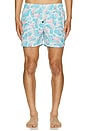 view 5 of 6 Flamingo Swim Trunks in Blue