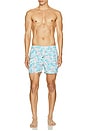 view 6 of 6 Flamingo Swim Trunks in Blue