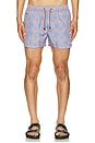 view 5 of 6 Hermosa Swim Trunks in Grey