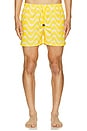 view 5 of 6 Wavy Swim Trunks in Yellow