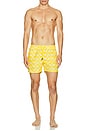 view 6 of 6 Wavy Swim Trunks in Yellow