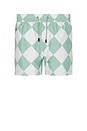 view 1 of 3 Lauren Canyon Swim Trunk in White & Green