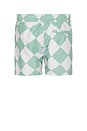 view 2 of 3 Lauren Canyon Swim Trunk in White & Green