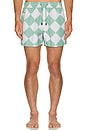 view 3 of 3 Lauren Canyon Swim Trunk in White & Green