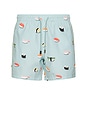 view 1 of 6 Jiro Swim Trunks in Mint