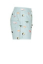 view 3 of 6 Jiro Swim Trunks in Mint