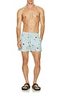 view 6 of 6 Jiro Swim Trunks in Mint