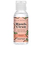 view 1 of 1 Hands Clean Hand Sanitizer in Peach